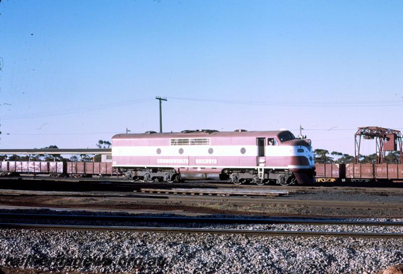 T00113
Commonwealth Railways (CR) GM class 29, Kalgoorlie
