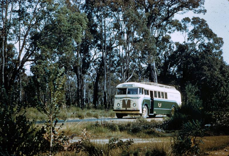 T00173
Railway Road Service Foden  Passenger/Freighter bus, green and cream livery, on road in a forest setting, front and side view.  Same as T00174
