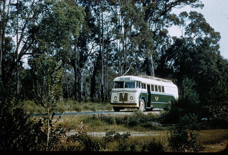 T00174
Railway Road Service Foden  Passenger/Freighter bus, green and cream livery, on road in a forest setting, front and side view.  Same as T00173
