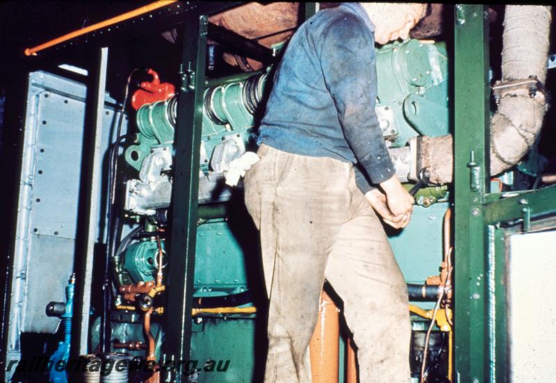 T00491
Diesel Shop, Block 3, Midland Workshops, , fitter working on a Y class
