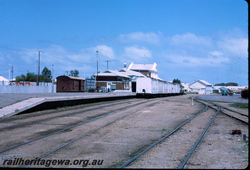 T00931
Cool storage vans, station, Geraldton, NR line

