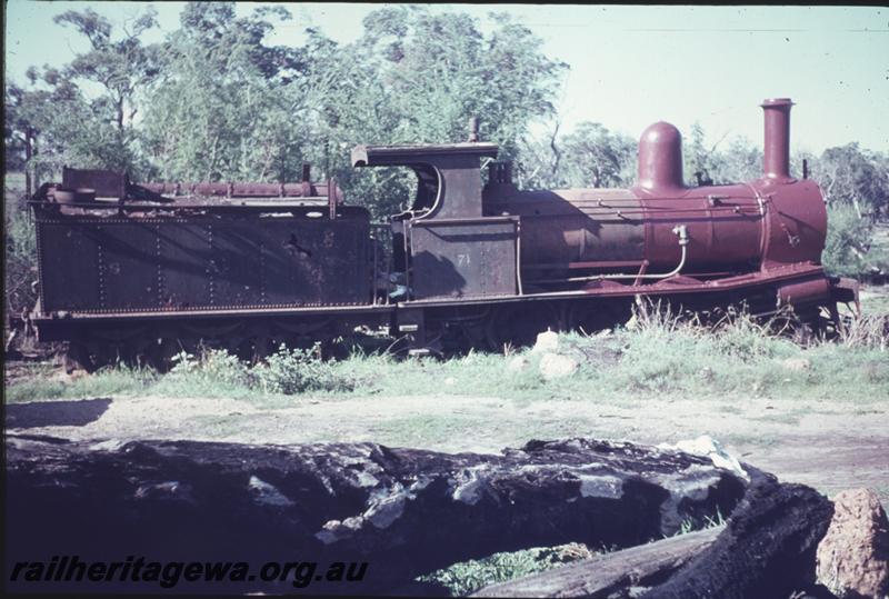 T01591
Y class 71 steam loco, Witchcliffe, side view
