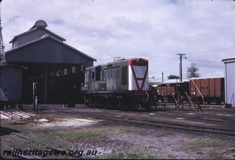 T02784
Y class 1101, loco shed, Bunbury loco depot
