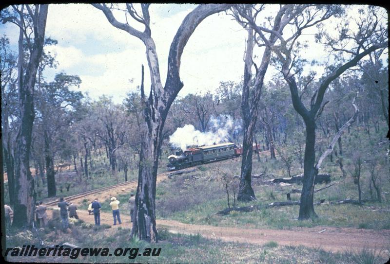 T03142
ARHS first tour, Millars loco No.58, train in bush setting.
