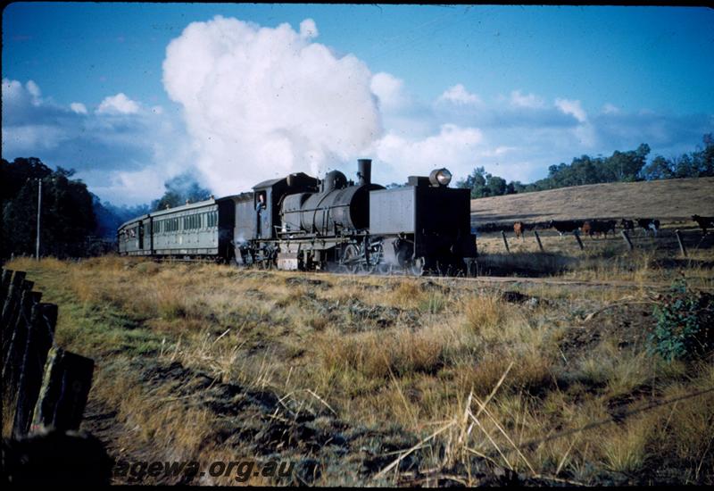 T03256
MSA class 498 Garratt loco, Nannup, WN line, tour train
