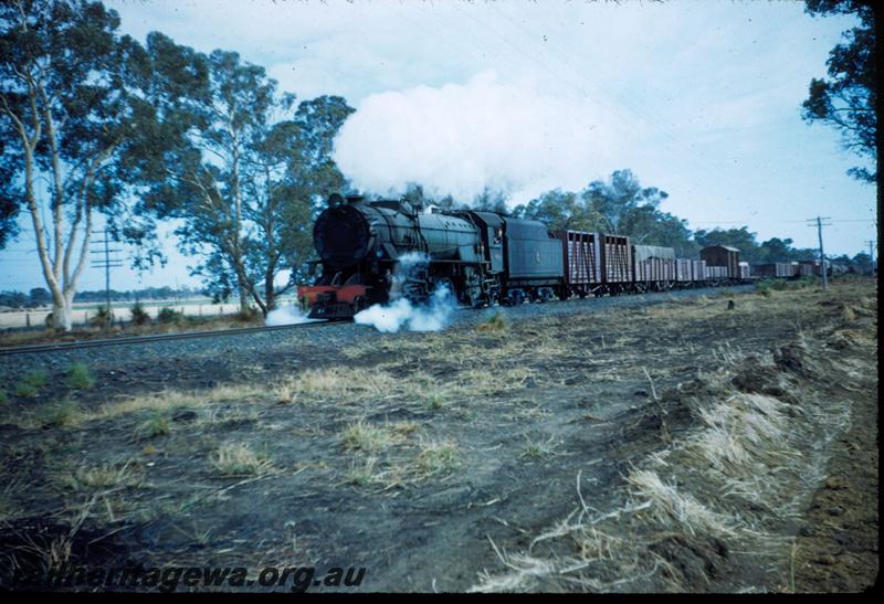 T03337
V class, goods train
