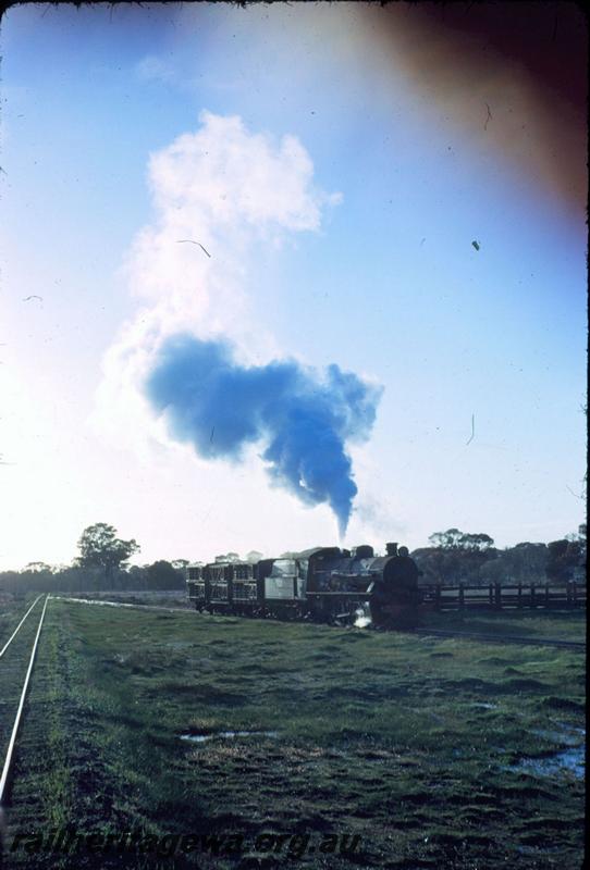 T03536
W class 935. Bokal, WB line, shunting the yard
