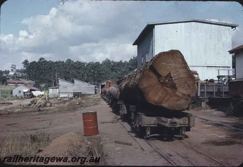 T04360
Rake of log  wagons laden with logs, on siding to steam saw, end view, Pemberton Saw Mill, PP line
