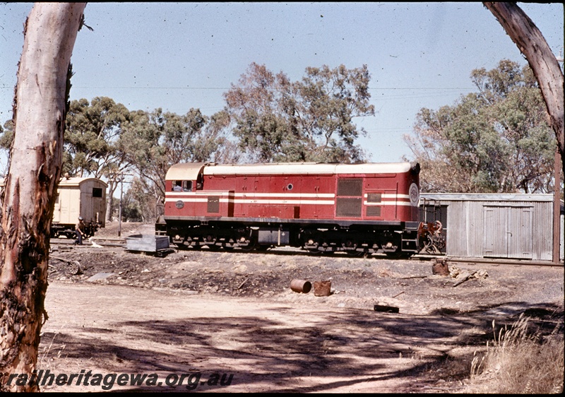 T04586
MRWA F Class 46 diesel locomotive, gangers shed, Moora, MR Line, side view.
