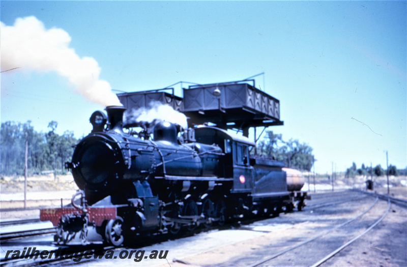 T05606
Fs class 447 at Collie locomotive depot. Water tanks in background. BN line.
