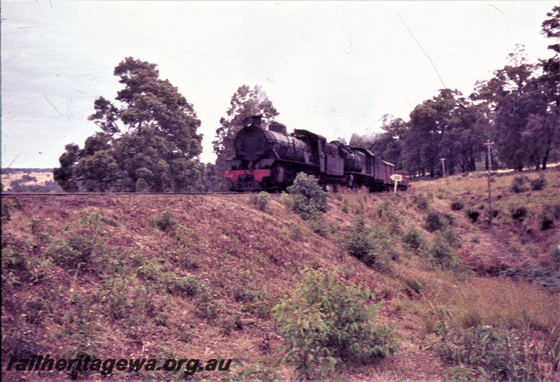 T05650
W class 922 leads S class hauling a good train near Balingup. PP line.

