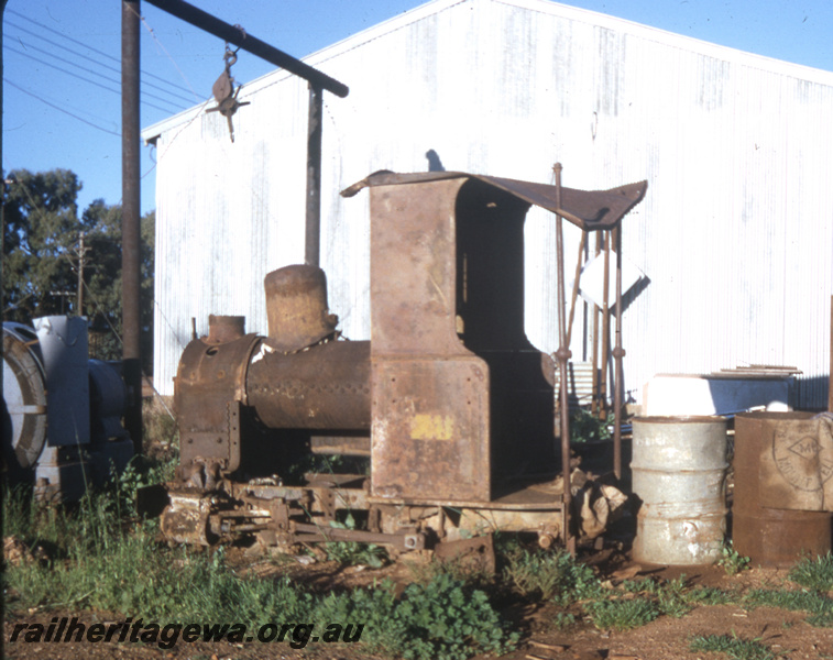 T05685
Meekatharra - Haine-St- Pierre 0-4-0 T 2 foot gauge locomotive. Last used by Peak Hill Gold Mines at Peak Hill north of Meekatharra.
