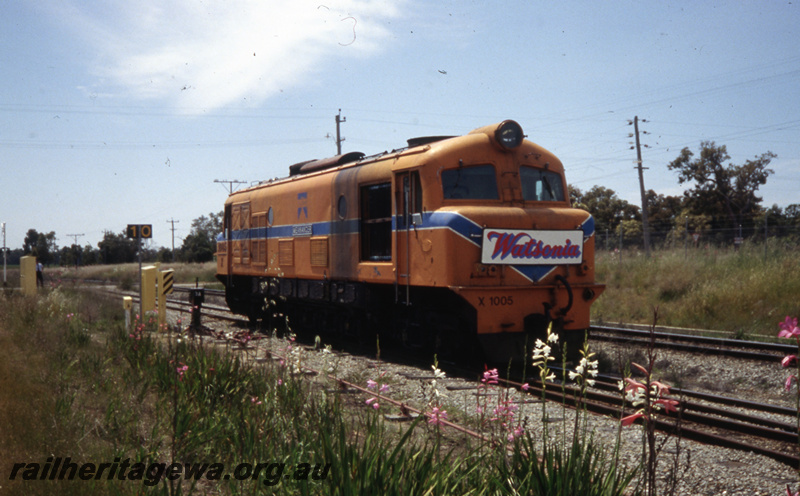 T05734
X class 1005 with Watsonia headboard.
