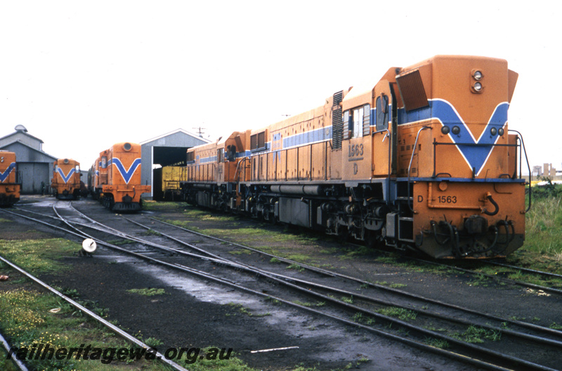 T05743
Bunbury Loco depot, D class 1563, Y class in photo. SWR line

