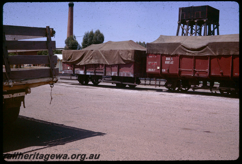 T06011
Cunderdin narrow gauge yard, KW Class 10697 bulk wheat open wagon, KA Class open wagon, tarps, truck, water tank, pumping station chimney, EGR line
