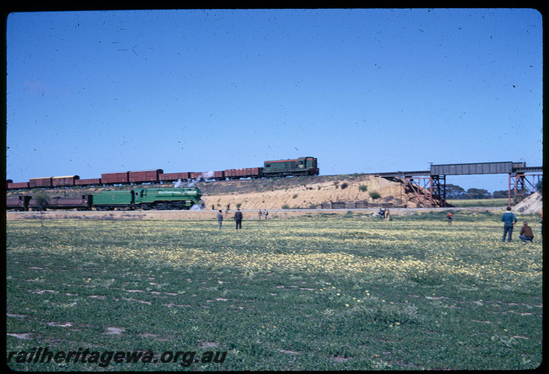 T06265
NSWGR C38 Class 3801, westbound 