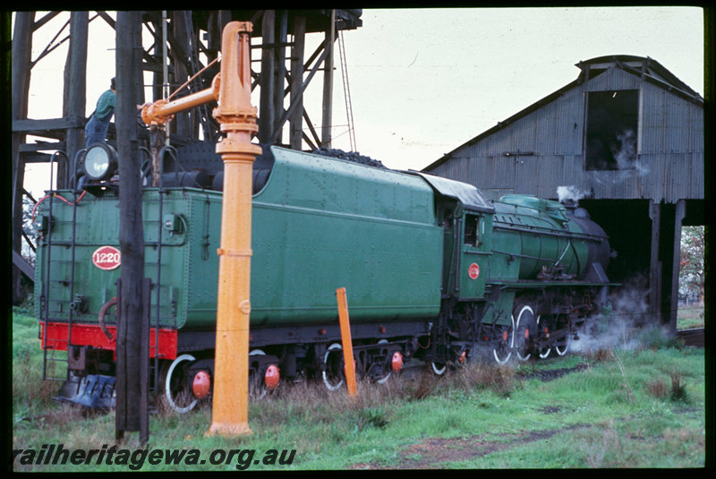 T06716
V Class 1220, taking water, Brunswick Junction loco depot, ARHS 