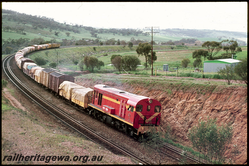 T07018
G Class 50, International Orange livery, Up goods train, Horseshoe Cutting approaching Julimar Road, ER line
