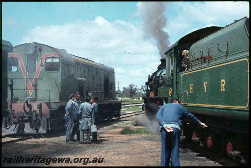 T07507
F Class 42, Hotham Valley Railway tour train, W Class 945 