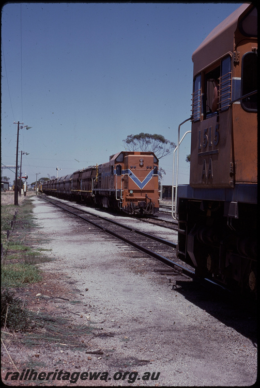 T07828
AB Class 1533, Down empty grain train, XNA and XN Class wagons in consist, crossing AA Class 1515, Goomalling, semaphore signals, CBH, EM line
