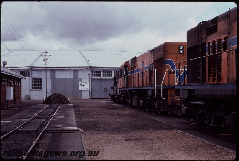T07855
G Class 123, N Class 1875, unidentifed N Class, Bunbury loco depot, roundhouse
