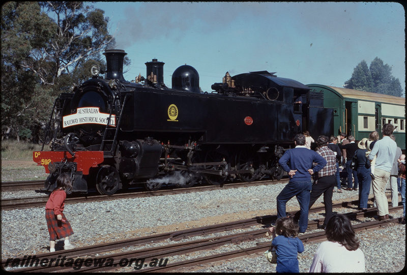 T08237
DD Class 592, Up ARHS passenger special, headboard, Steam Picnic Ramble, Mundijong, SWR line
