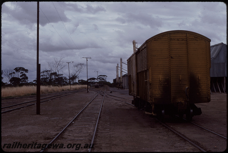 T08323
VF Class van, Newdegate, CBH bin, WLG line
