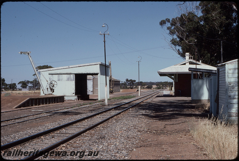 T08335
Dumbleyung, traffic office building, goods shed, loading ramp, platform crane, WLG line

