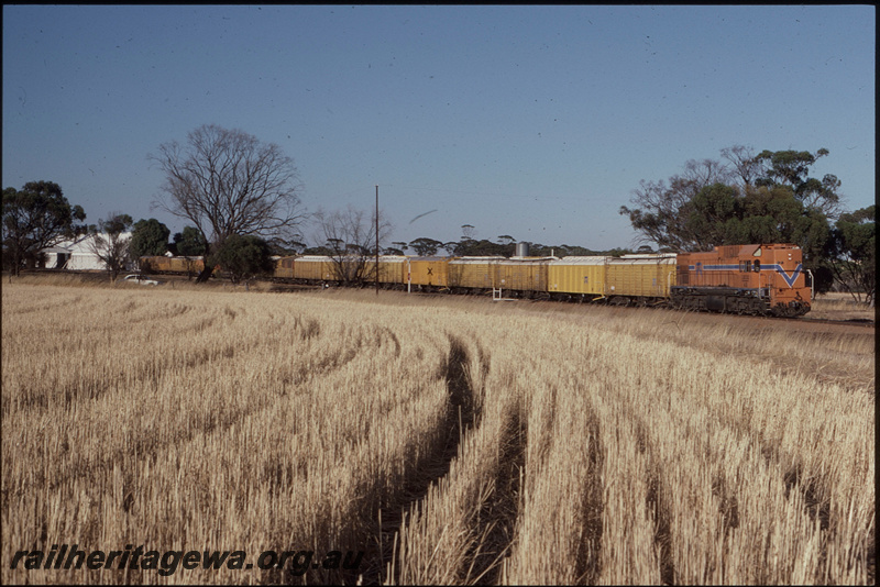 T08351
AB Class 1532, grain train, shunting, Greenhills CBH, YB line
