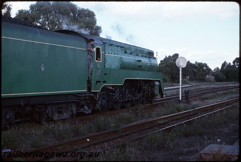 T08674
NSWGR C3801, Up 